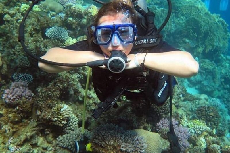 Sharm El Sheikh: Ras Mohamed & White Island Snorkel or Dive - Key Points