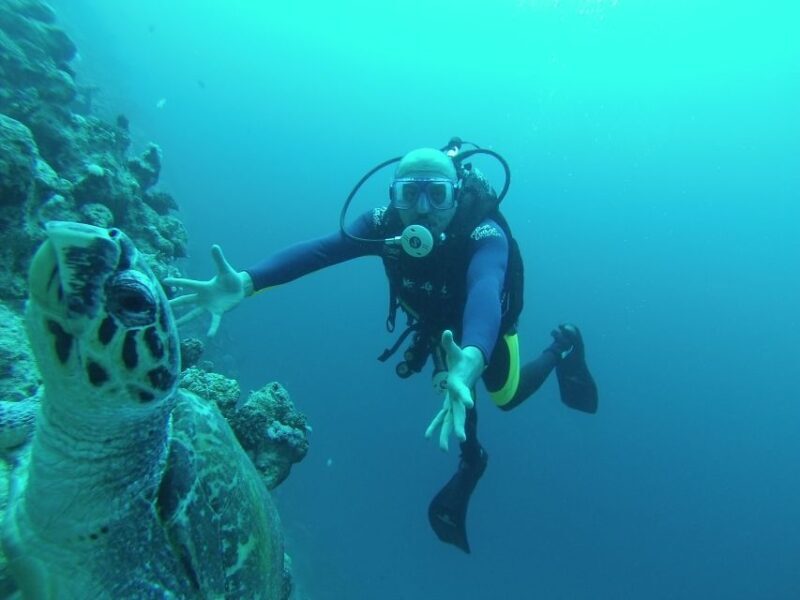 Sharm El Sheikh: Ras Mohamed & White Island Snorkel or Dive - Who Will Love This Tour?