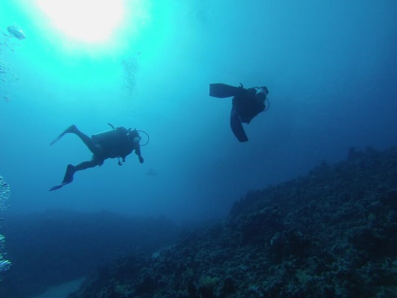 Sharm El Sheikh: Ras Mohamed & White Island Snorkel or Dive - FAQ