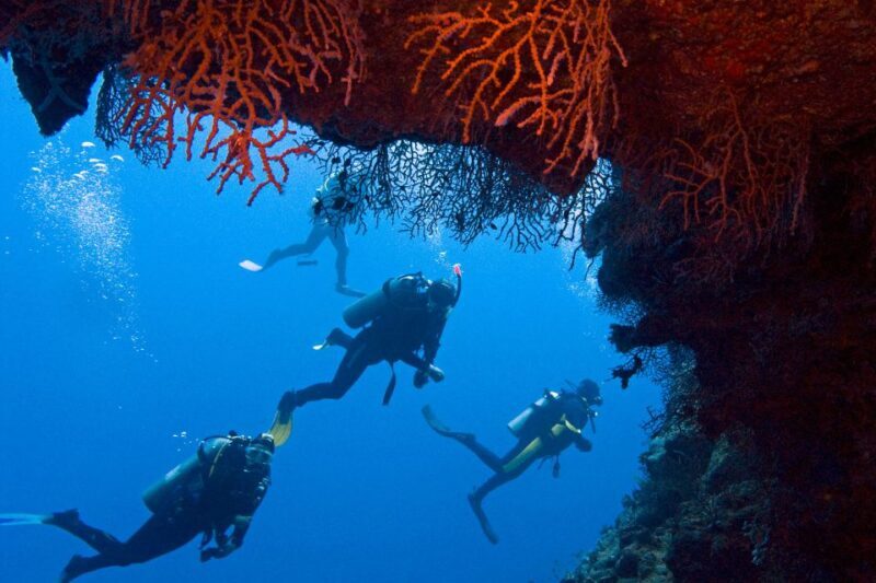 Sharm El-Sheikh: Ras Mohamed & White Island Snorkeling Trip - Key Points