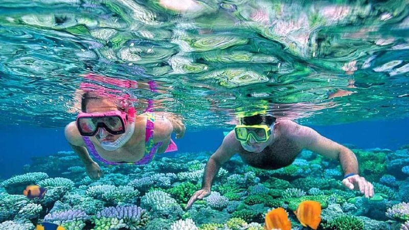 Sharm El Sheikh: Ras Mohammed Snorkeling Boat Tour - An Overview of the Experience