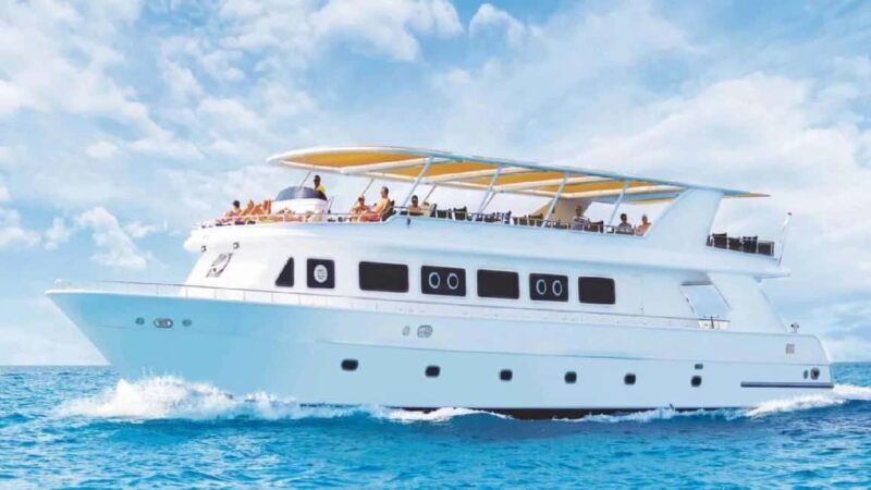 Sharm El Sheikh: Red Sea Cruise w/ Dinner & Transfer - Key Points