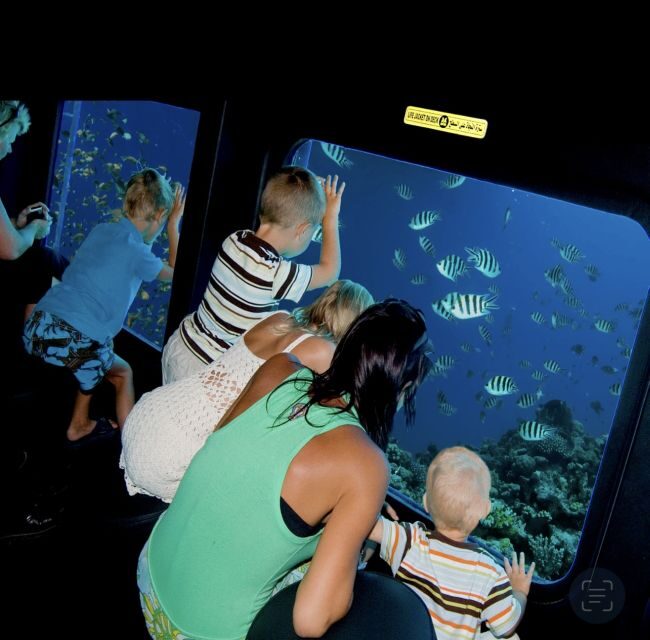 Sharm El-Sheikh: Royal Seascope Submarine Cruise with Pickup - Final Thoughts: Is It Worth It?