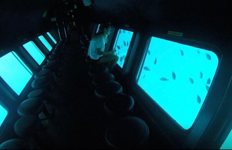 Sharm El-Sheikh: Seascope Submarine boat cruise with pickup - Drawbacks and Considerations
