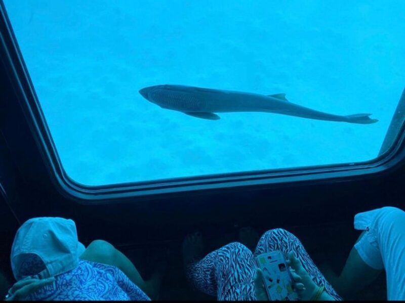 Sharm El-Sheikh: Seascope Submarine boat cruise with pickup - FAQ
