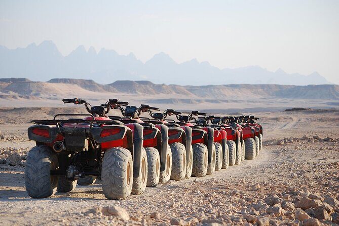 Sharm El Sheikh Super Safari 5*1 ATV Quad, Stargazing,Camel Ride,Dinner, Shows - What to Expect Throughout the Experience