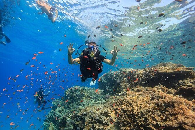 Sharm El Sheikh : White Island and Ras Mohamed Trip - Introduction: A Day of Water-Based Wonders in Sharm El Sheikh
