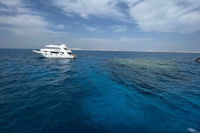 Sharm El Sheikh : White Island and Ras Mohamed Trip - The Authenticity and Real Experiences from Reviews