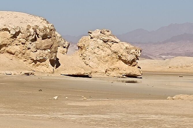 Sharm El Sheikh : White Island and Ras Mohamed Trip - Who Will Love This Tour?