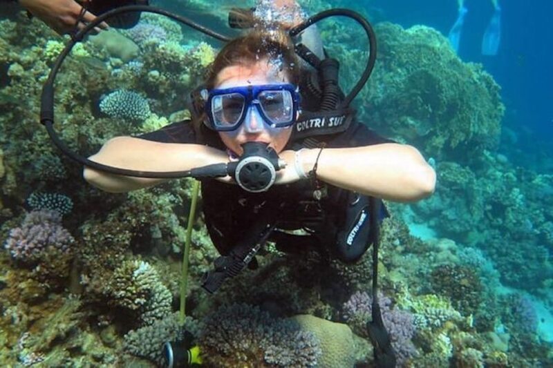 Sharm: Introductory Dive from the Shore & PADI Courses - Who Will Love This Tour?