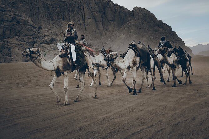 Sharm: Quad Bike or Car Buggy, Camel ride & optional VIP Bedouin Dinner & Show - Authentic Insights from Reviewers