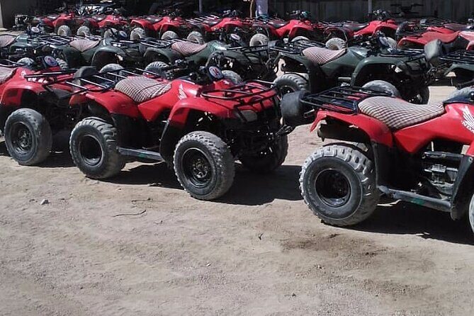 Sharm: Quad Bike or Car Buggy, Camel ride & optional VIP Bedouin Dinner & Show - Things to Keep in Mind