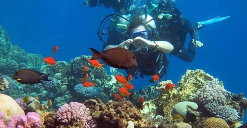 Sharm to Dahab: Colored Canyon, Blue Hole, Qude Bike, Camels - Sharm to Dahab: Colored Canyon, Blue Hole, Qude Bike, Camels — An Authentic Egyptian Adventure