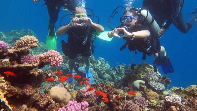 Sharm to Dahab: Colored Canyon, Blue Hole, Qude Bike, Camels - Practical Details and Considerations
