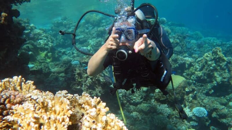 Sharm to Dahab: Colored Canyon, Blue Hole, Qude Bike, Camels - Final Thoughts