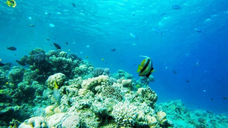 Sharm to Dahab: Colored Canyon, Blue Hole, Qude Bike, Camels - FAQ