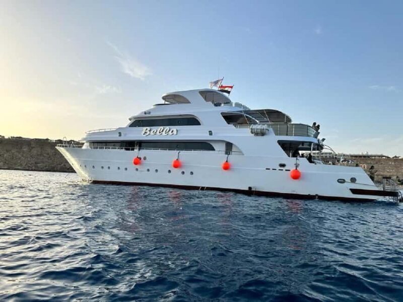 Sharm: Vip Snorkeling Cruise with international lunch - Key Points