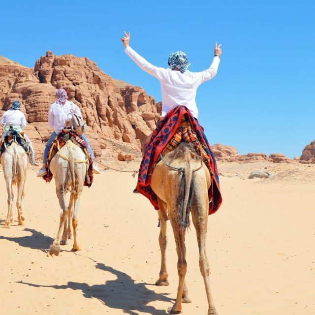 Sharm: Water Sports Adventure Day with Hotel Transfer - Key Points