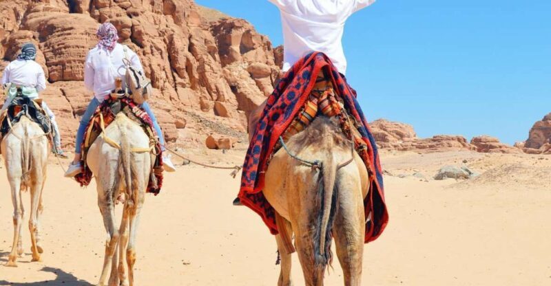 Sharm: Water Sports Adventure Day with Hotel Transfer - What to Expect From Your Water Sports Adventure Day