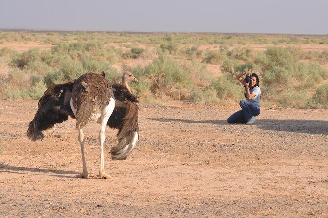 Shaumari Reserve and Azraq Wetland Private Full Day Tour from Amman - Final Thoughts