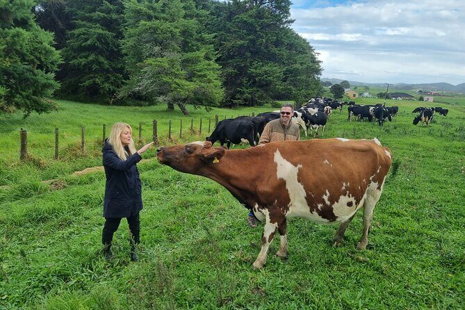 Sheep & Beef Working Farm Private Tour - Key Points