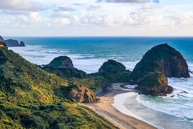 Sheep World and West Auckland Discovery Small Group Day Tour - Key Points