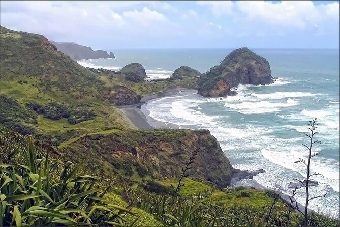 Sheep World and West Auckland Discovery Small Group Day Tour - Introduction: A Well-Rounded Day of Kiwi Adventures