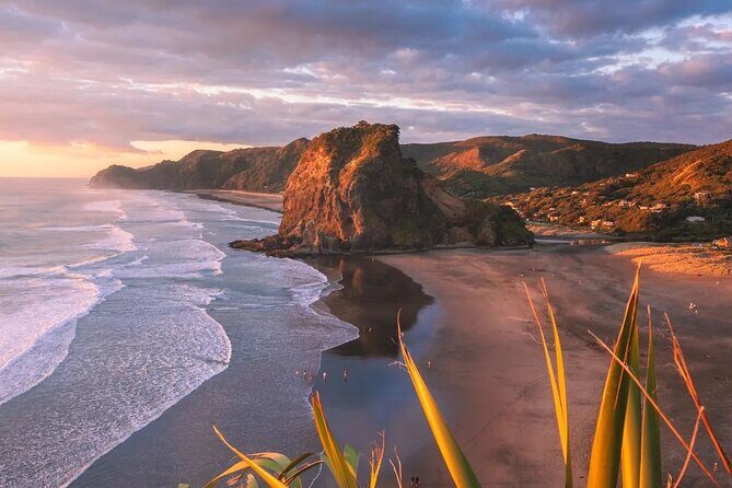 Sheep World and West Auckland Discovery Small Group Day Tour - Authentic Insights from Previous Reviewers