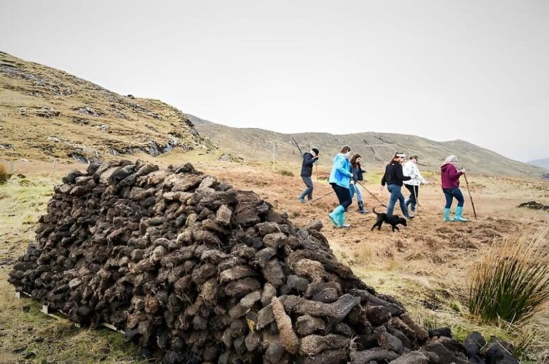 sheepdog-herding-demo-on-working-sheep-farm-galway-guided