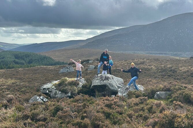 sheepdogs-in-the-countryside-authentic-dubliners-city-tour-combo-2