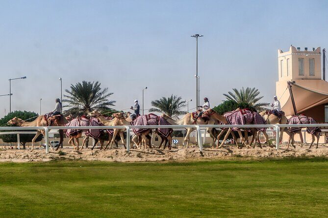 Sheikh Faisal, Camel Race Track visit - Key Points