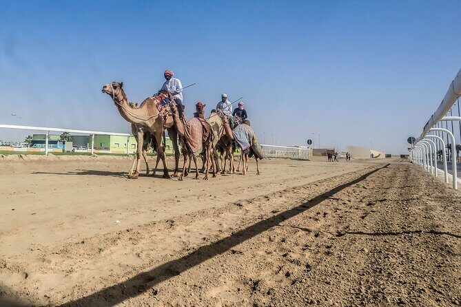 Sheikh Faisal, Camel Race Track visit - Who Will Love This Tour?