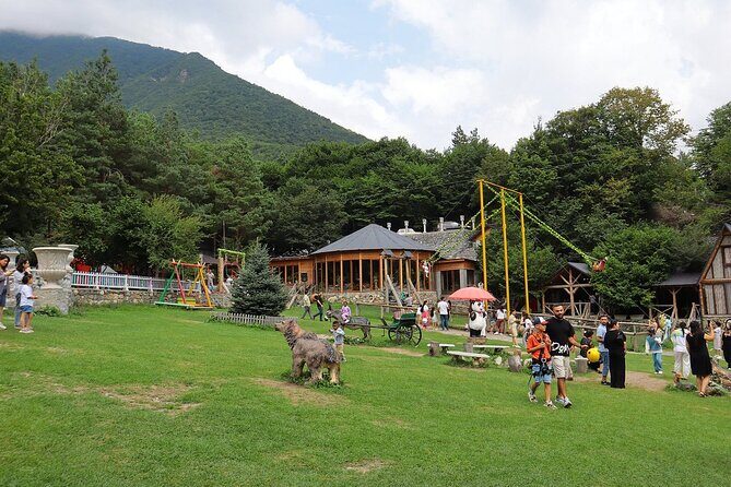 Sheki Cultural and Historical Shared Tour - Who Should Consider This Tour?