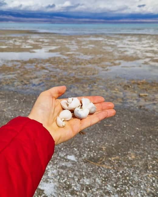 Shell beach Turtle head and Kok-Moinok canyons - An In-Depth Look at the Kyrgyzstan Tour Experience