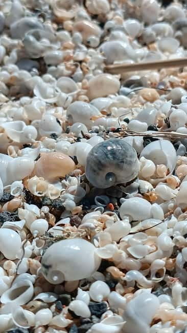 Shell beach Turtle head and Kok-Moinok canyons - FAQ