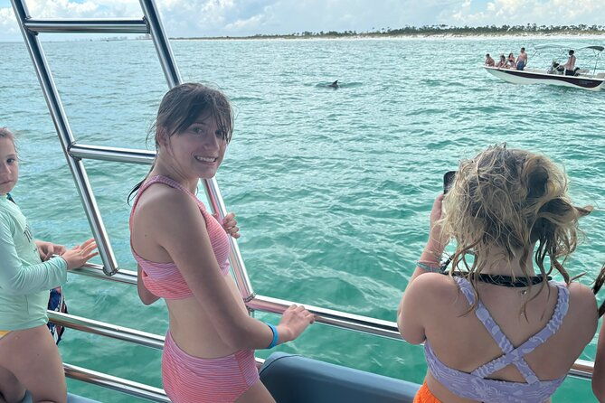 shell-island-dolphin-sightseeing-boat-tour-2