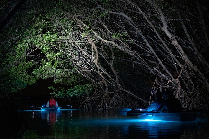 Shell Key Clear Kayak Sunset & Glow Tours - Final Thoughts
