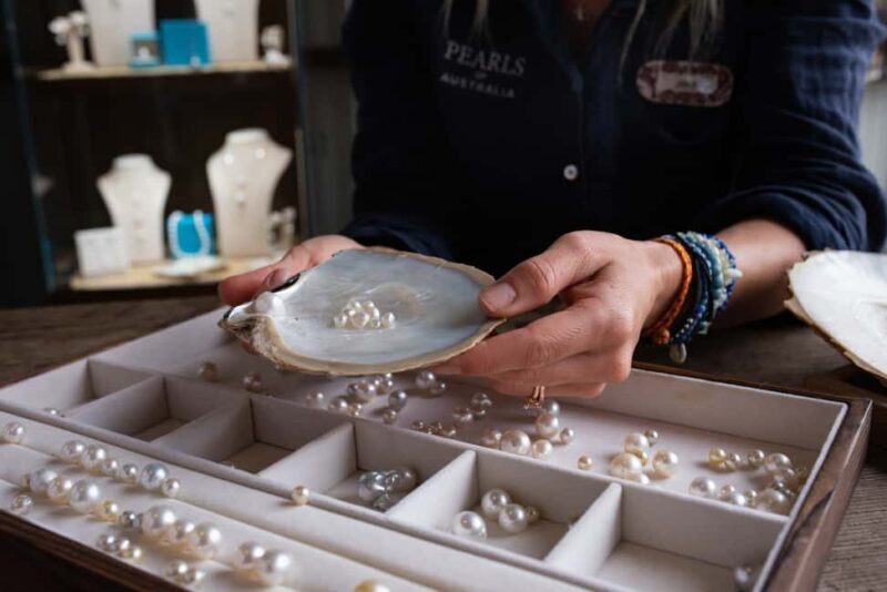 Shell to Showroom - Sydney's only Pearl Farm Experience - Who Is This Tour Perfect For?