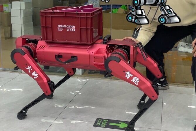 Shenzhen 0.5 or 1 Day: "Tech Focus Tour" or "Culture+Tech Tour" - FAQ