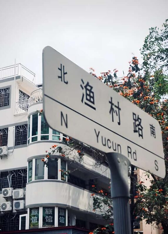 Shenzhen: 3H Shekou Seaside Walk & Minghua Cruise Experience - Why This Tour Works & Who It’s For