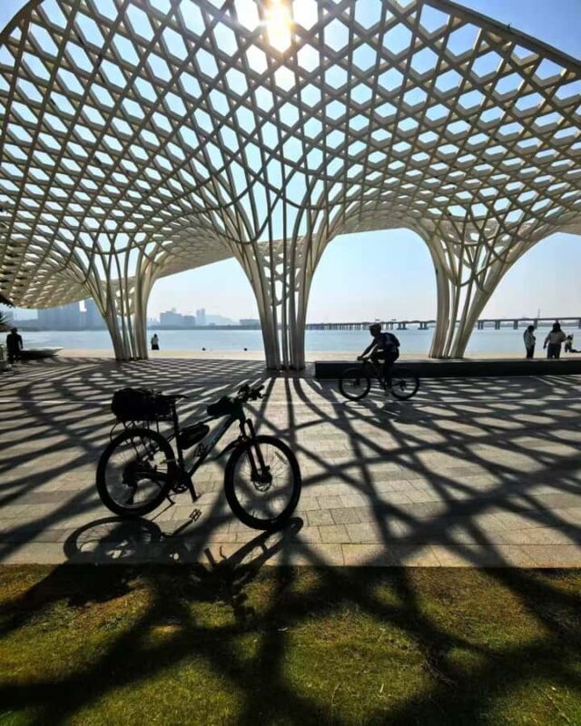 Shenzhen: Bay Park and Talent Park Guided Bike Tour - Key Points