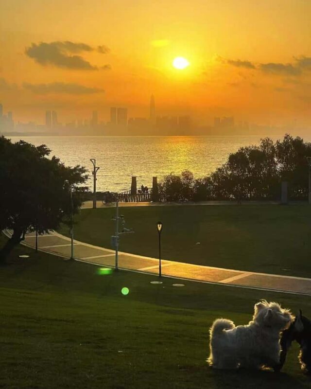 Shenzhen: Bay Park and Talent Park Guided Bike Tour - Scenic Photo Stops: Egret Slope and Sunrise Theater