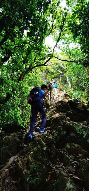 Shenzhen: Guided Hiking Tour with Multiple Routes - FAQ