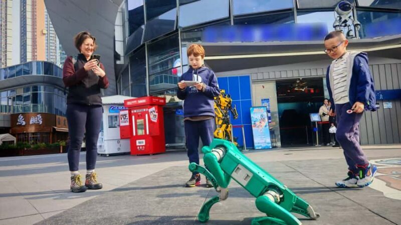 Shenzhen: Hands-On Robotics Experience - Robot Dogs & AI Art - Key Points