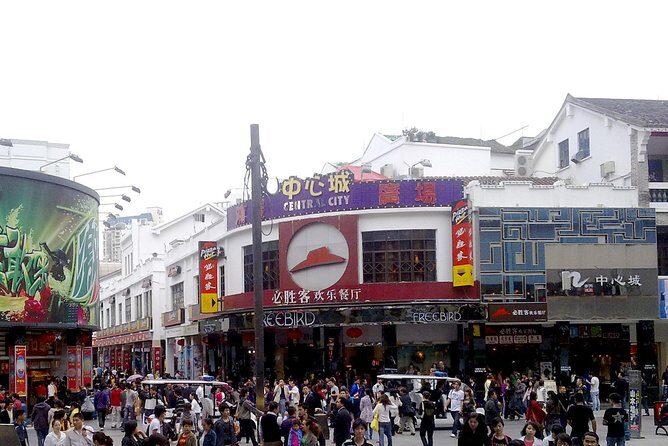 Shenzhen Private Arrival Transfer: Railway Station to Hotel - Why Choose the Shenzhen Railway Station to Hotel Transfer?