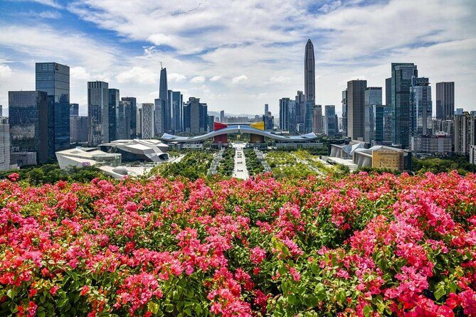Shenzhen Private Day Tour with Car Service Tech+Culture+Shopping - Key Points