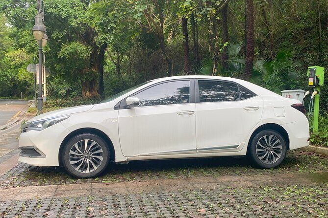 Shenzhen Private Transfer and Ongoing Travel Assistance - What to Expect from Shenzhen’s Private Transfer Service