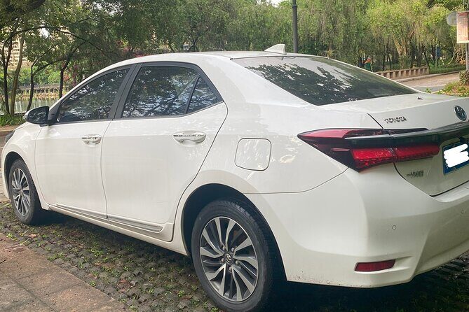 Shenzhen Private Transfer and Ongoing Travel Assistance - The Sum Up