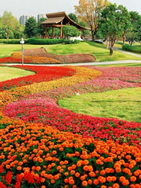 Shenzhen: Qianhai Bay to Happy Harbor Nature Walking Tour - Analyzing the Value