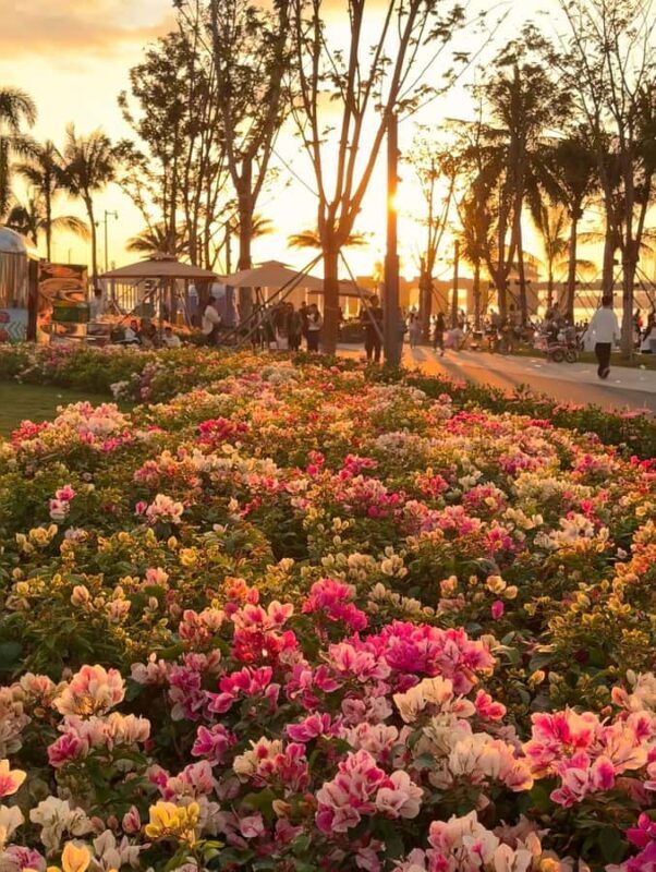 Shenzhen: Qianhai Bay to Happy Harbor Nature Walking Tour - FAQs